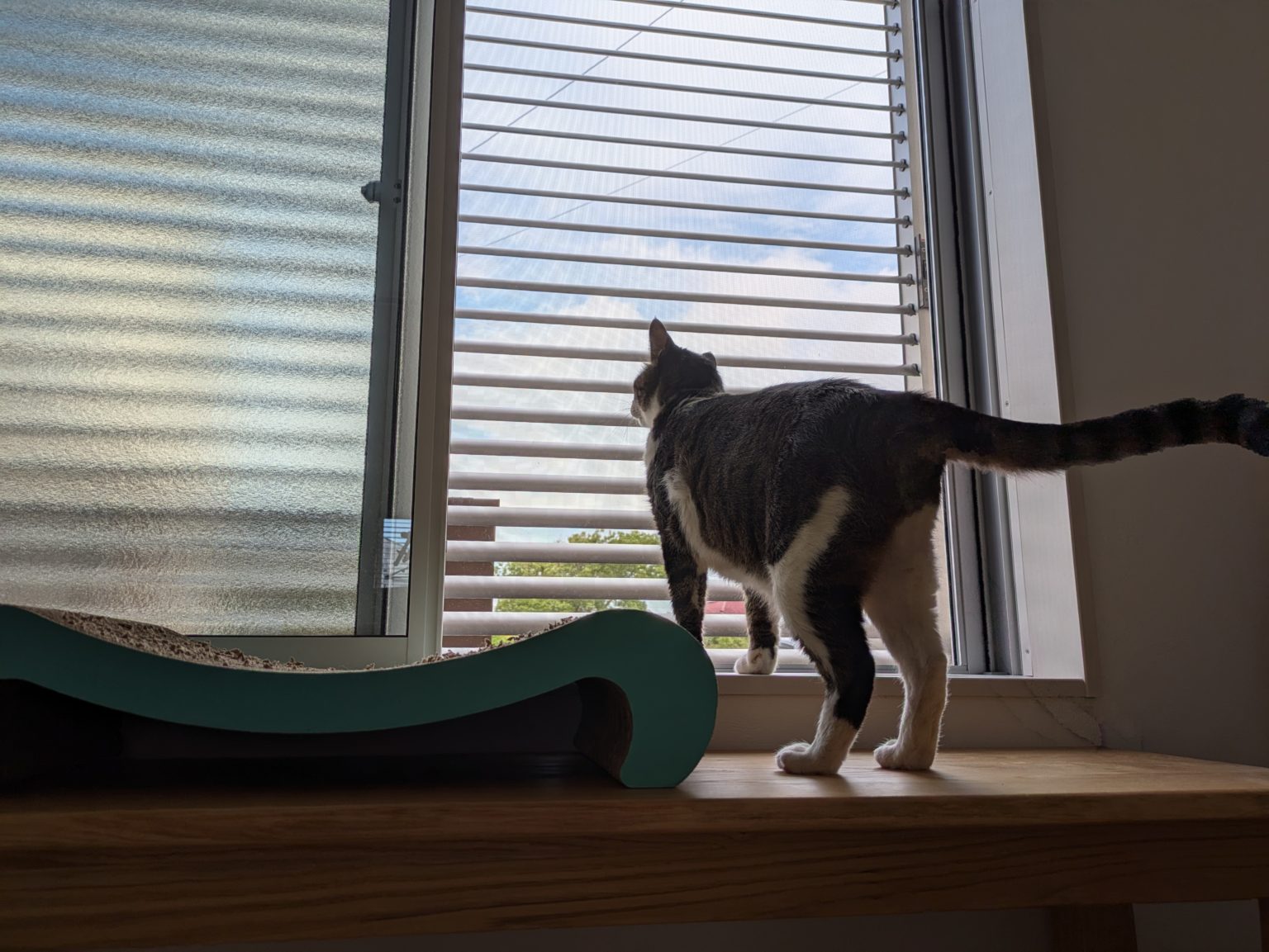 愛知県知多郡南知多町　目隠し可動ルーバー取付工事　YKKAP　目隠し可動ルーバー